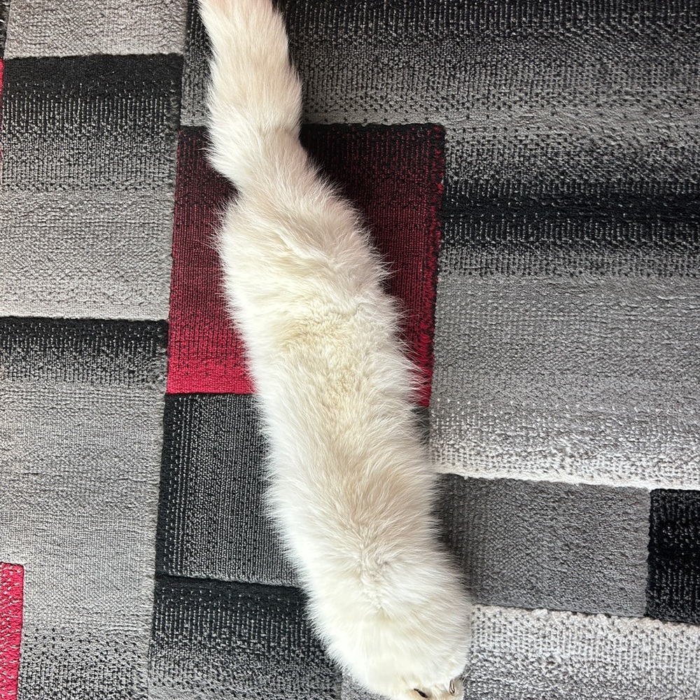 Luxurious Arctic Fox Fur Pelt